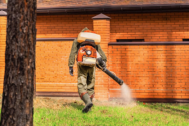 Trusted Ant Control service in Sneads Ferry, NC - Nex Pest Control